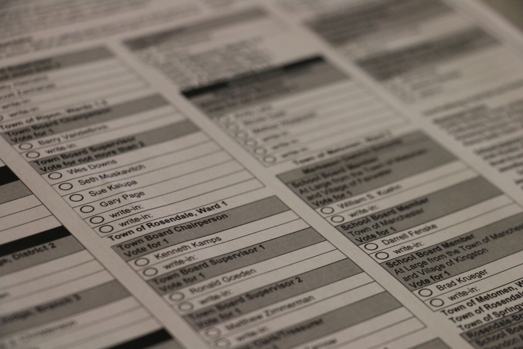 Question Answered: What's on the ballot in Ripon and Green Lake?
